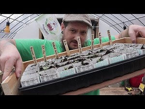 Simple DIY Seed Starting Tray