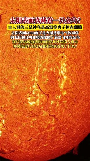 太阳高温等离子体在翻腾像极了神话中的金乌画面和古人说的一模一样#科普 #探索宇宙 #太阳表面真实照片 #前沿知识派对