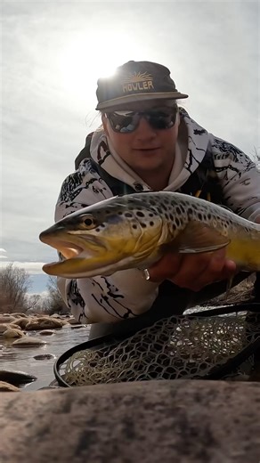 Big Brown eats my Ant! 🐜🔥-Fly Fishing #fishing #flytying #flyfishing #insects #troutfishing #trout