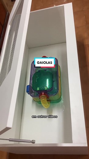 Por que gaiolas não são boas para hamsters: dicas e cuidados