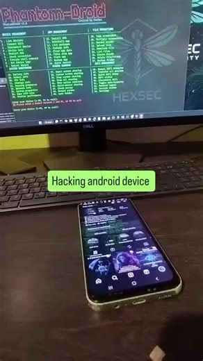 rwrrr #hacking #programer #fullstack #fyp