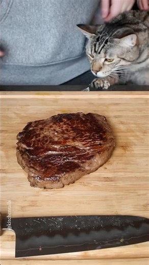 An evening steak for us and assistant Chai #cats #cosy #homecooking #catvlogs #slowliving