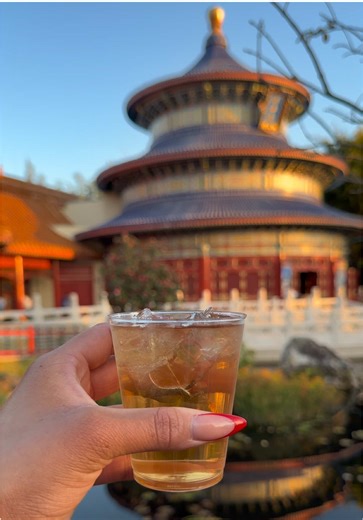 All of the drinks that I got at EPCOT at each country! 11 drinks for 11 countries 💗 #drinkingaroundtheworld #epcotdrinkingaroundtheworld #fyp #viral #epcot
