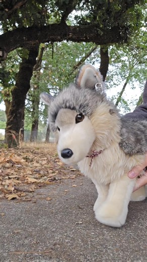 Supportive Stuffed Animals for Disability Needs