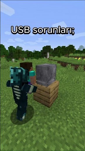 USB issues with PC Minecraft;