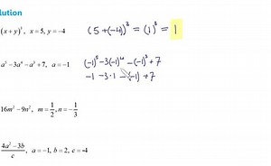 Algebraic Expressions: Exercises