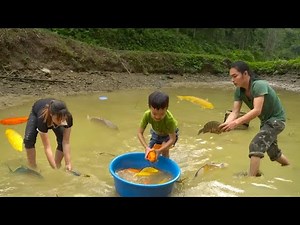 Harvesting a large pond of carp - How to make delicious smoked fish, preserving food for a long time