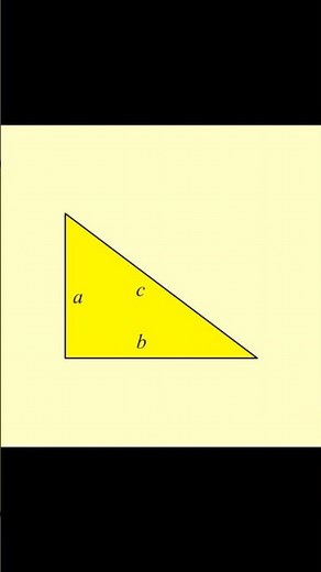 The Genius Behind Modern Math | Pythagoras #history #facts #didyouknow