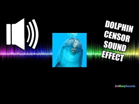 Dolphin Censor Sound Effect