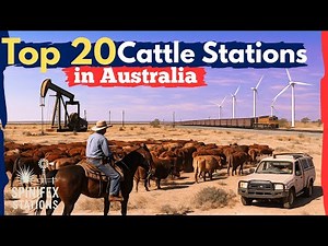 Top 20 Biggest Cattle Stations in Australia | Outback Giants Explained