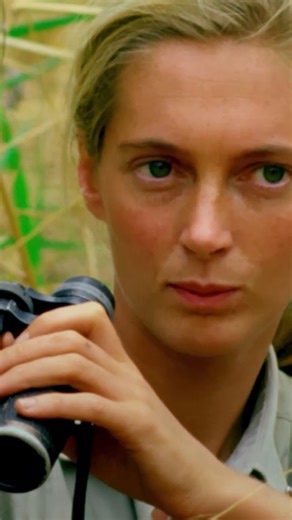 209K views · 12K reactions | Happy birthday to the pioneering conservationist Dr. Jane Goodall, whose work transformed the world's understanding of chimpanzees. JANE is now streaming on Disney+ and Hulu. | National Geographic Documentary Films | Facebook
