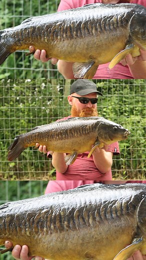 105K views · 926 reactions | ☀️ SUN’S OUT, GET THE FLOATERS OUT!...