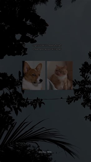 Creative Audition Insights and Fun Moments