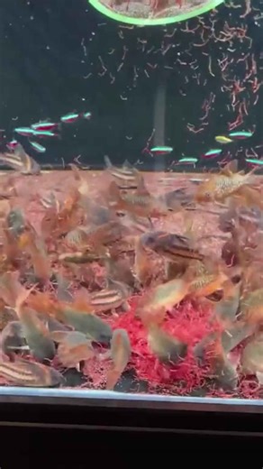 Pro-Level Fishing Delivering Incredible Catches in Water