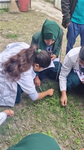 Class 12 Biology Practical #hnsacademy #hnsa #quadratmethod