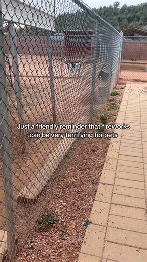 New Year’s Eve fireworks may be fun for us, but they can be scary and overwhelming for our pets. Loud noises and bright lights can cause even the calmest animals to panic and sadly, many pets go missing during fireworks shows. To help keep your pets safe tonight: • Keep them indoors and in a secure, quiet space • Make sure collars, tags, and microchip info are up to date • Close doors, gates, and windows securely • Turn on music or the TV to help drown out the noise • Offer enrichment toys, trea