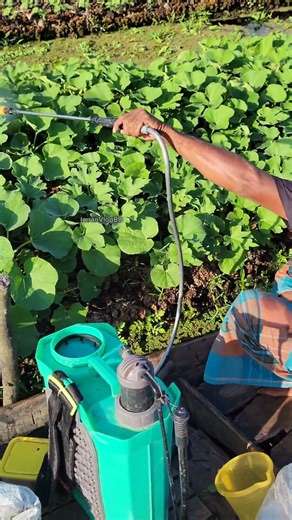 double motor battery spray machine