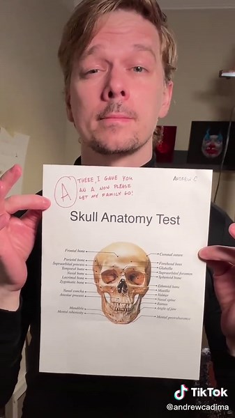 Paint a Skull - Step by Step Painting Tutorial