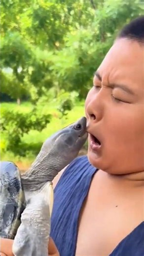 Animals Attacking People Funny Reactions #funny #animals #shorts