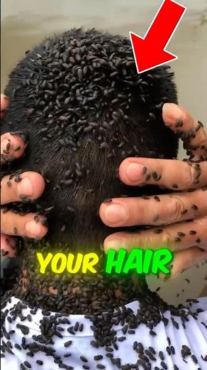 Bugs Found Inside Hair 😱