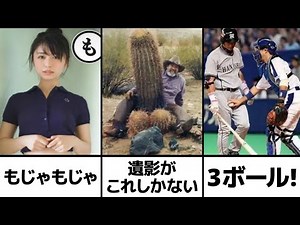 【超スペシャル】殿堂入りボケての面白画像にツッコミ【高速150連発!】【143】