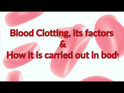 Blood Clotting Factors | Process and Mechanism | Fibrinogen | Thrombin | Factor 12
