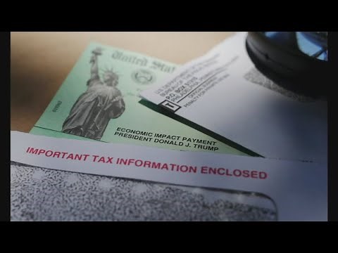 DOGE stimulus check proposal scaled back? | What taxpayers need to know