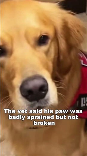 We Had 5 Seconds To Save Him From The Train