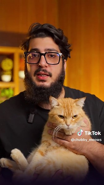 Every Cat Parent Makes These 4 Mistakes - Stop Now! . #cat #mistakes #petcare #catcare #pet