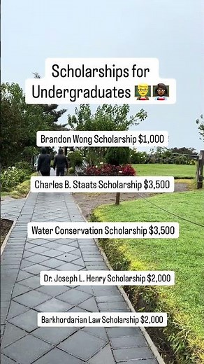 Scholarship for Undergraduate Students