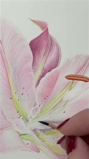 Paint a Lily in Watercolour 🌸 | Free Botanical Demo #painting #watercolourflorals #arttutorial