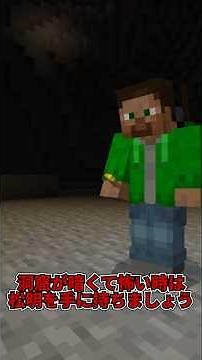 【アドオン】松明を手に持つと光るアドオンを作った #マイクラ #マインクラフト #minecraft