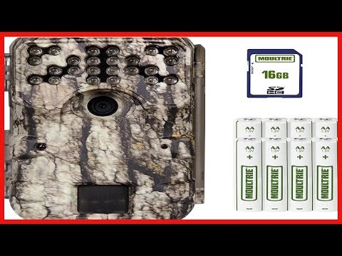 Moultrie A900 Bundle Trail Camera 2020 Batteries 16 MB SD Card Moultrie White Bark MCG 1400