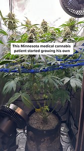 5.1K views · 116 reactions | On Aug. 1, 2023, Minnesota legalized...