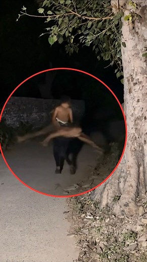 Wait… were those creatures actually aliens? 😰👽🛸 #horror #creepy #paranormal #alien #creature #viral | Himanshu Khatik