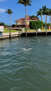 You truly can’t beat views like this! 🌊🐬 #thedolphinbar | Dolphin Bar