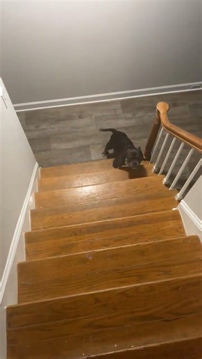 GG can fake cancer I promise she can