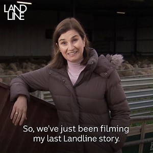68K views · 4.1K reactions | This Sunday, you'll see the last story from long-time Landline reporter Prue Adams. Prue has been with us for 24 years, but she's decided to call it a day. Thanks for your hard work and brilliant storytelling, Prue. We'll miss you. ❤️ | ABC Landline | Facebook