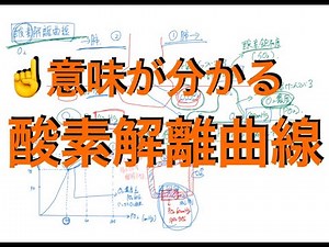 ①酸素解離曲線［意味］