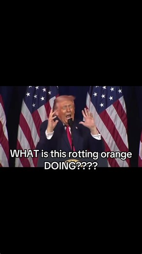 What's Wrong with Donald Trump?