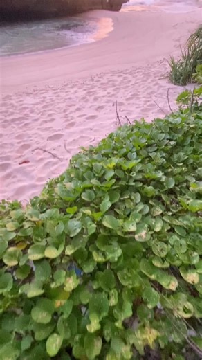 Pantai Srau Pacitan: Vibes Sepi dan Tenang