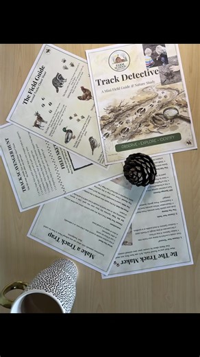 Animal Track Explorer Pack for Outdoor Learning