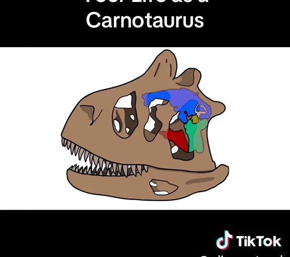 Understanding the Unique Features of Carnotaurus