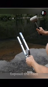 What Is a Tuning Fork? #reelsfb #trandingreels #reelsinstagram #trandingfacts #knowledge #facts #newfacts #reel #information #expandthefact | Expand The Fact