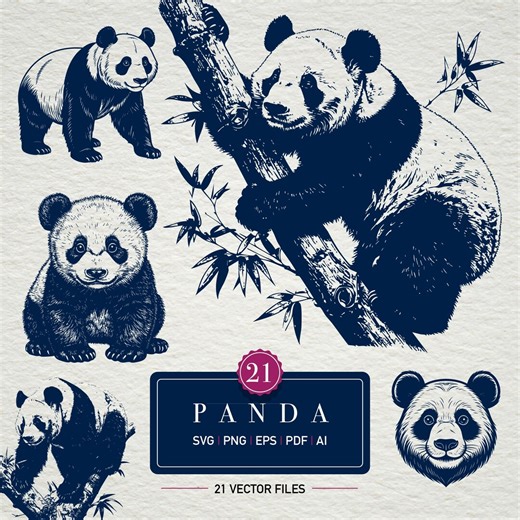 Vintage Panda SVG Bundle | Bear Engraving Art | Animal Illustration SVG PNG Eps Pdf | Wildlife Clipart - Etsy