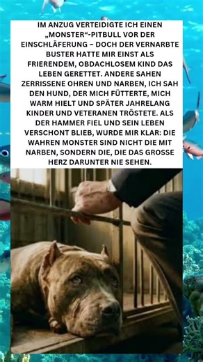 Ein „Monster“ mit Herz: Wie Buster mein Leben rettete 🐾❤️