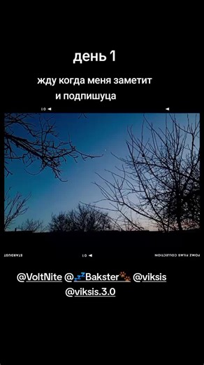 @VoltNite @💤Bakster🐾 @viksis