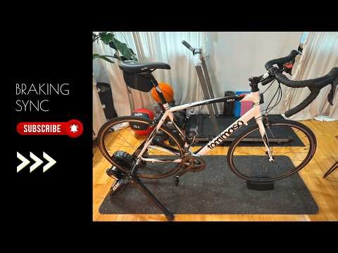 Tommaso Imola Review – The Hidden Cost You Must Know