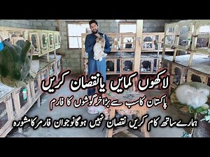Biggest modern rabbit farm in Pakistan||how to start fancy rabbit farm in Pakistan||k&m rabbit farm