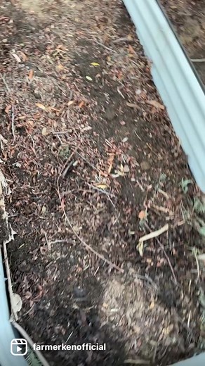 #diy #raisedbed #project! I wire on bottom for gopher protection & layer with organic matter as I fill the beds . #garden #grow #thefarmerken